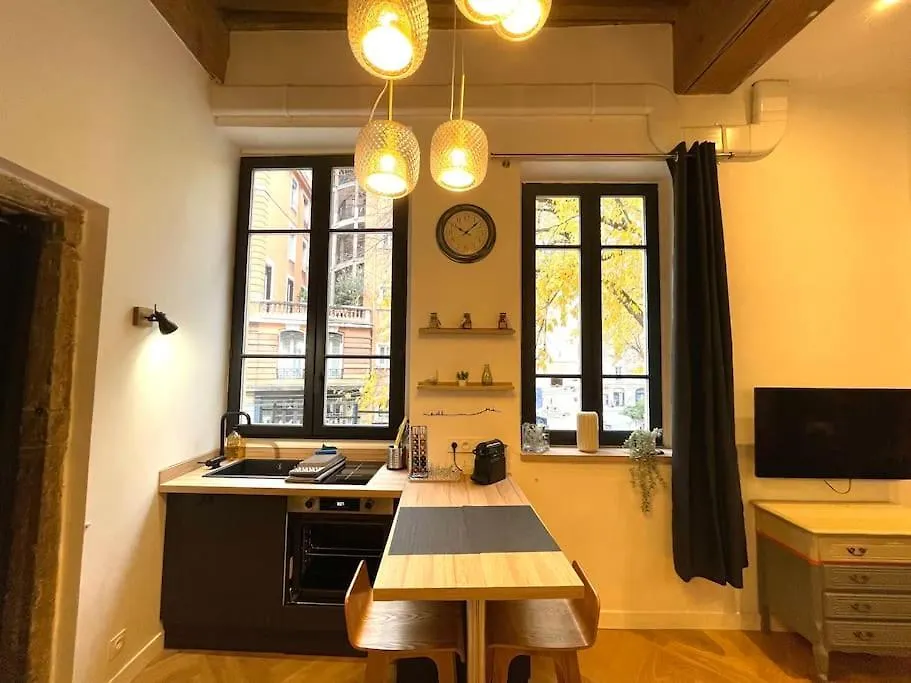 Logement De Charme Avec Balneo Apartment Lyon