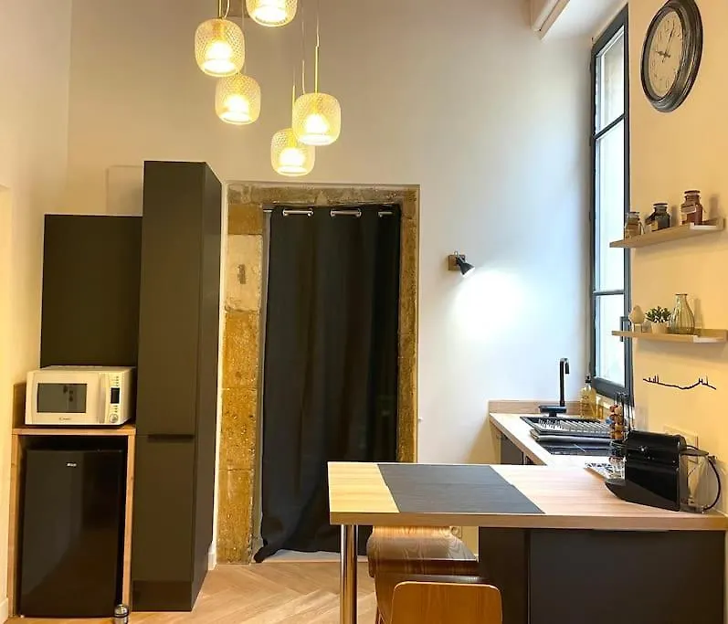 Logement De Charme Avec Balneo Apartment Lyon France