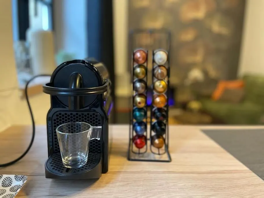 Logement De Charme Avec Balneo Apartment Lyon