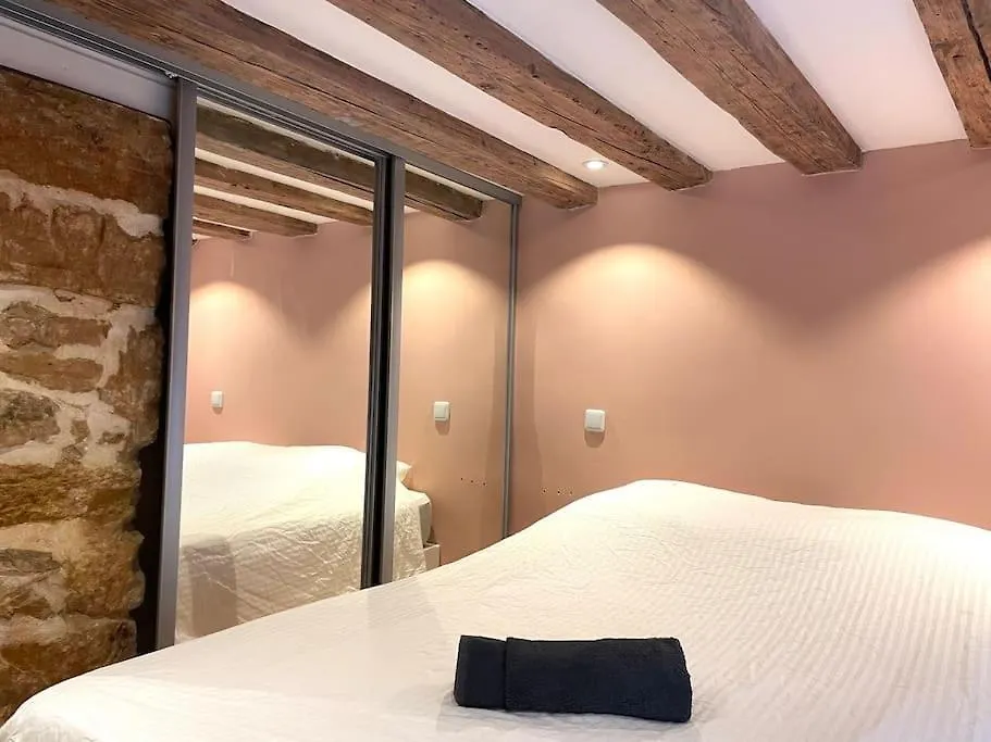 Logement De Charme Avec Balneo Apartment Lyon France