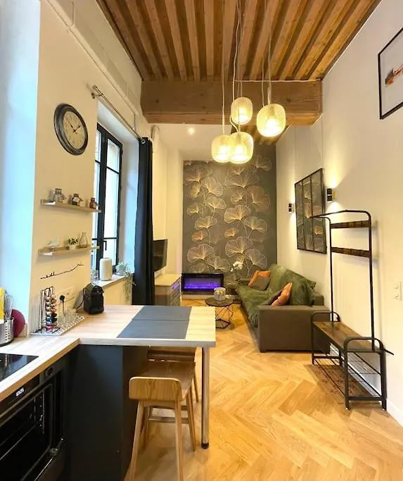 Logement De Charme Avec Balneo Apartment Lyon